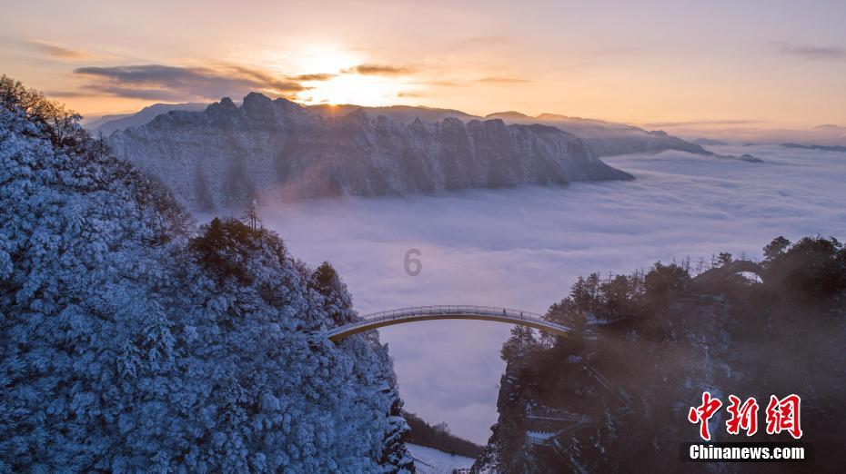 梦想的后院